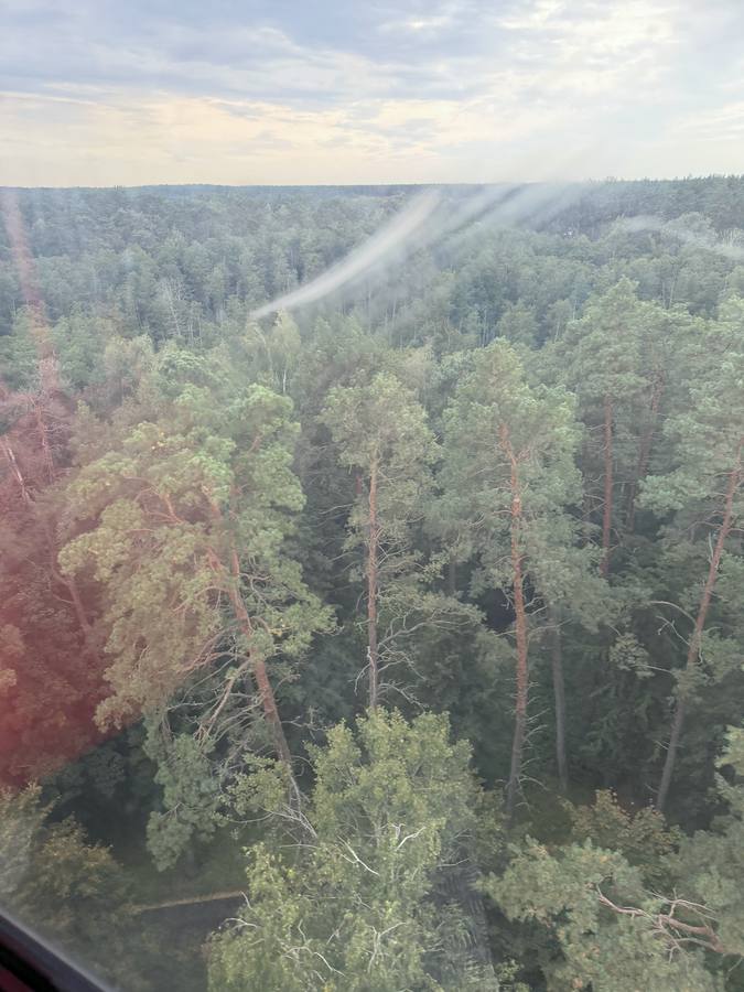 koysirata druskininkai mantymetsa ylhaalta